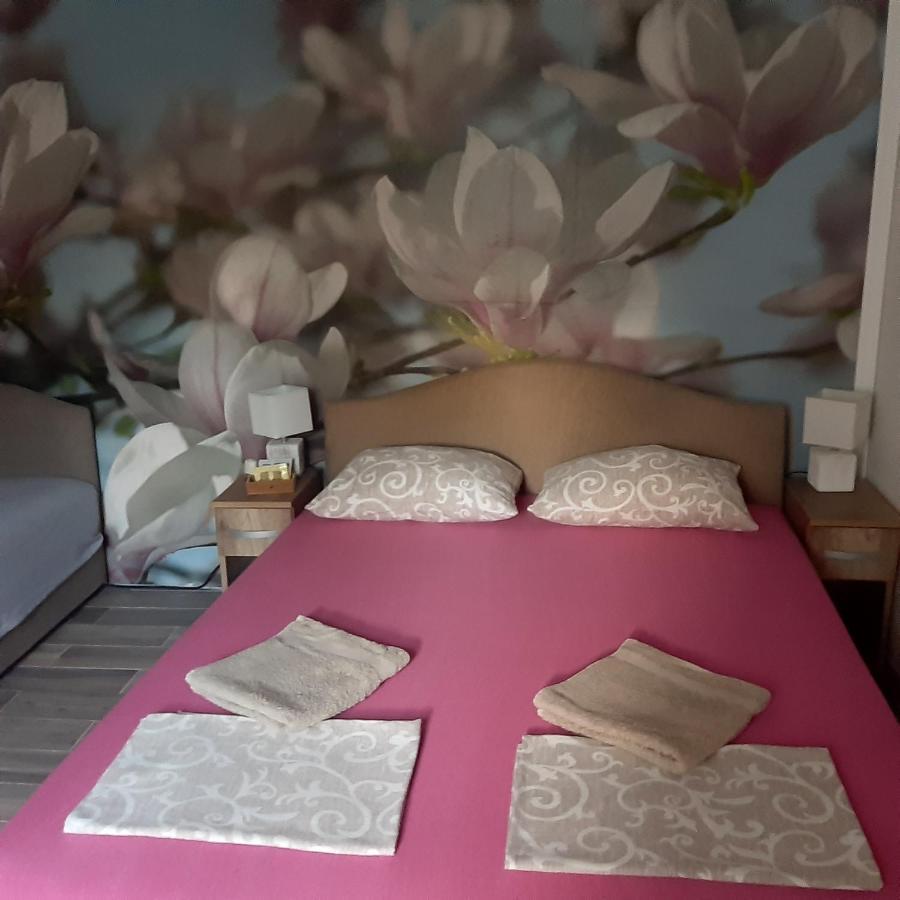 Vicky 1 Daire Kotor Dış mekan fotoğraf